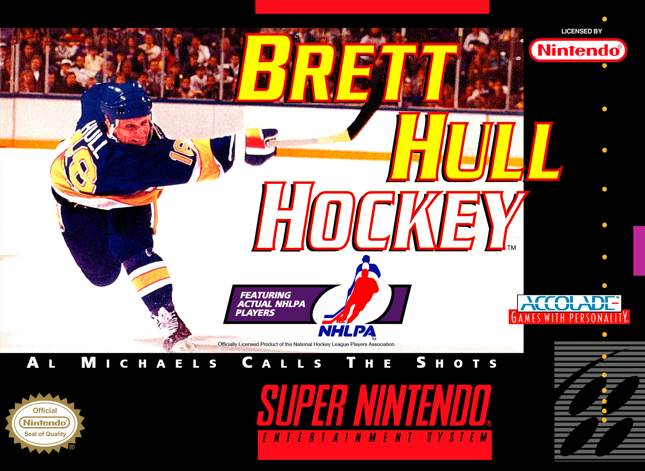 Naslovnica za Brett Hull Hockey