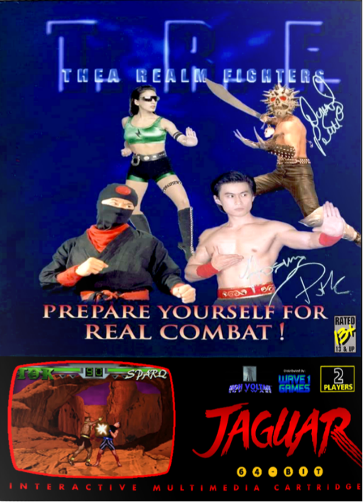 Naslovnica za Thea Realm Fighters