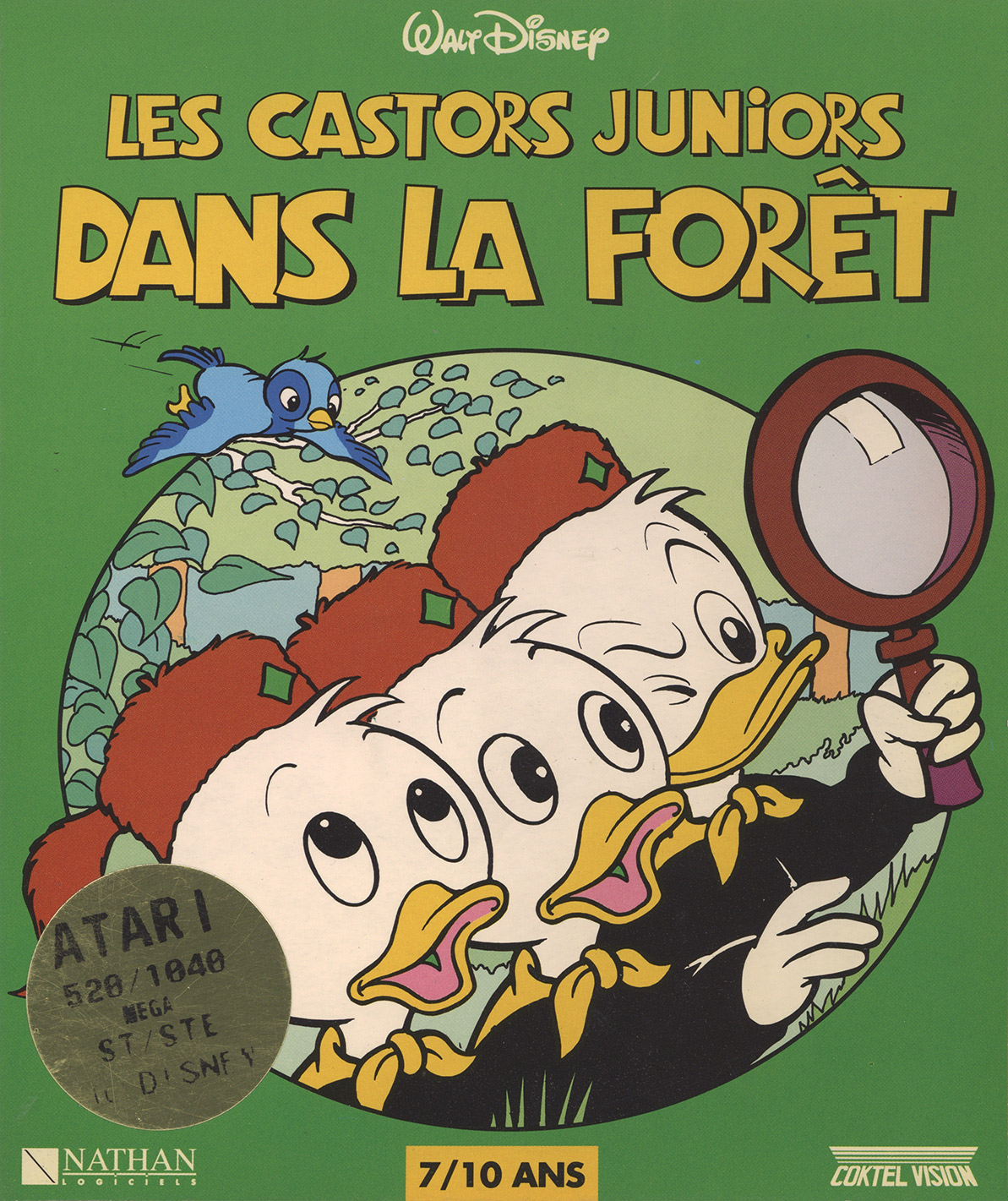 Naslovnica za Les Castors Juniors dans la Forêt