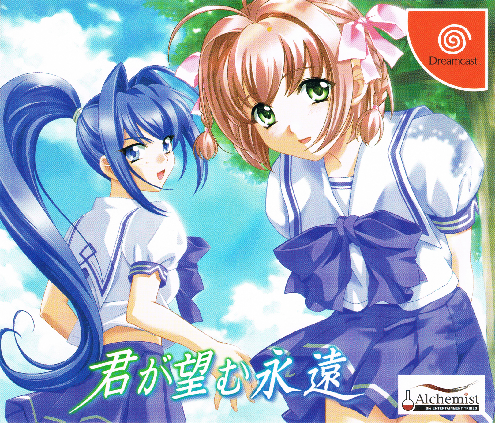 Naslovnica za Kimi ga Nozomu Eien